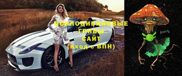 скорость Лагань