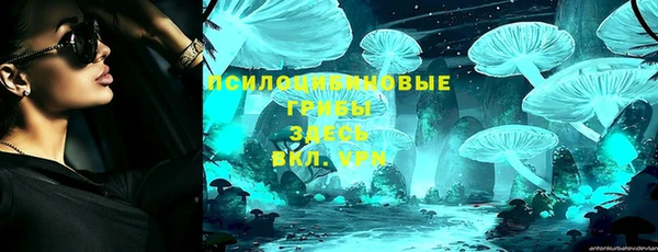 скорость Лагань