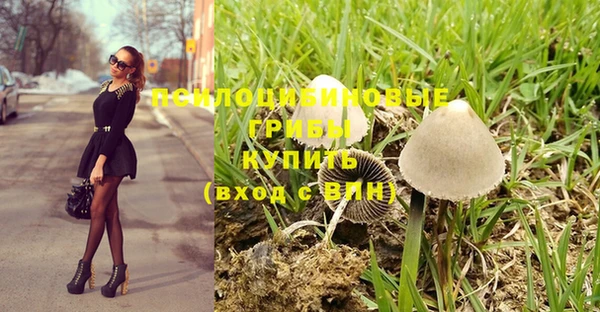 таблы Лабытнанги