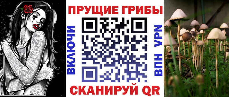 Псилоцибиновые грибы Magic Shrooms  цены наркотик  Лакинск 